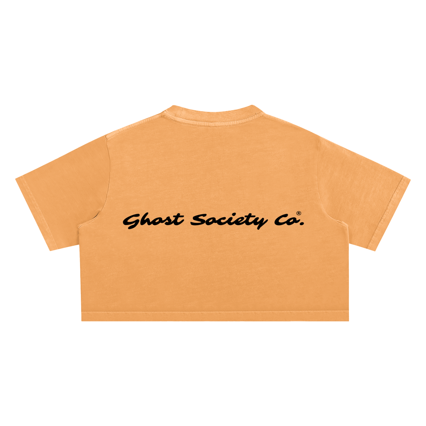 GHOST SOCIETY CO. Snow Washed Crop Top