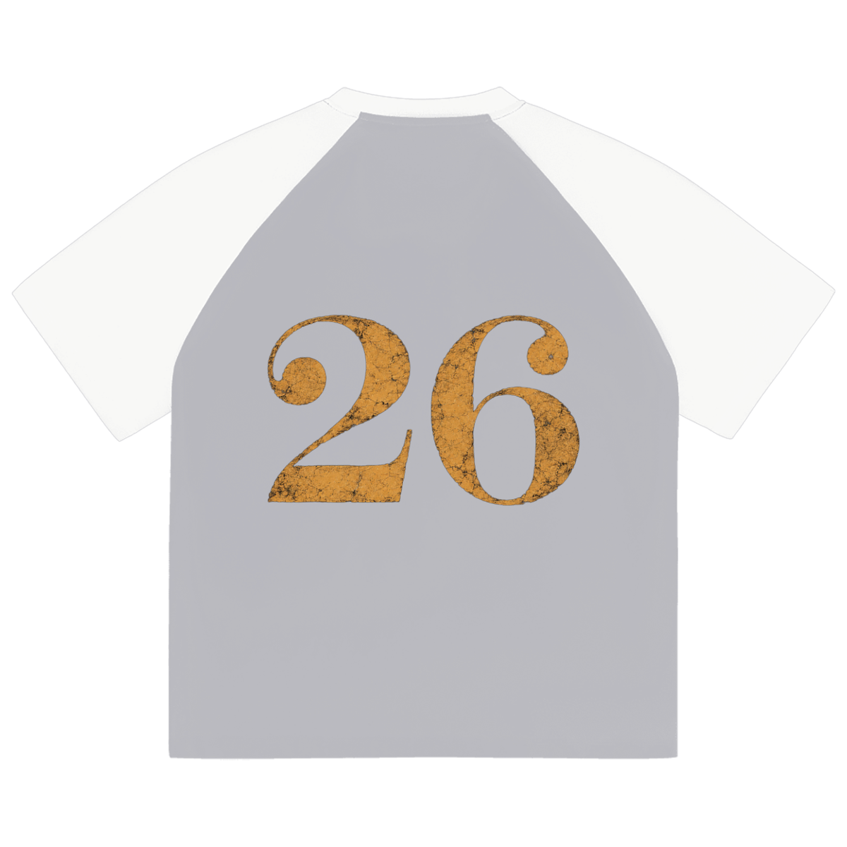 GHOST SOCIETY CO. Color-Blocked Raglan Sleeve T-Shirt