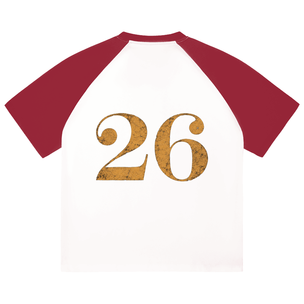 GHOST SOCIETY CO. Color-Blocked Raglan Sleeve T-Shirt