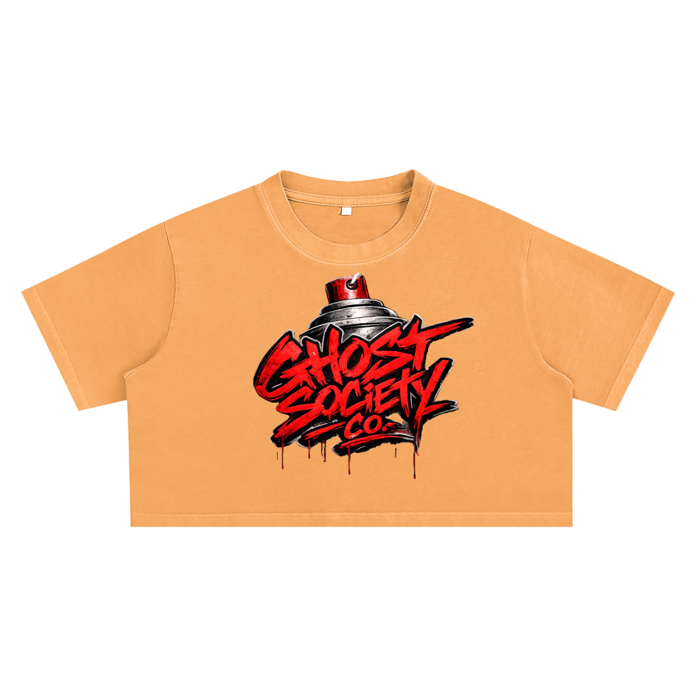 GHOST SOCIETY CO. Snow Washed Crop Top
